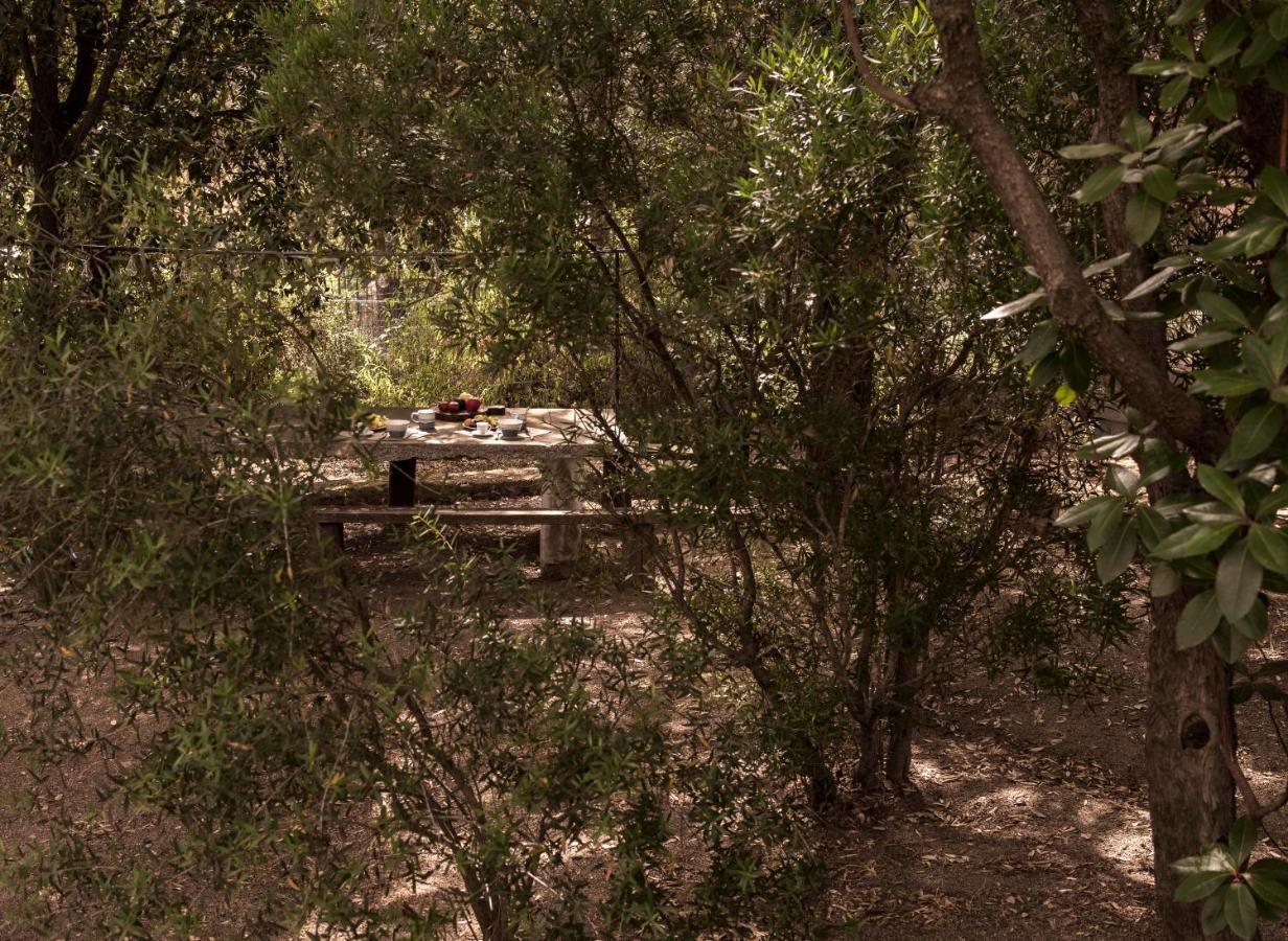 Nel Giardino Dei Pesci Volanti Βίλα San Pantaleo Εξωτερικό φωτογραφία