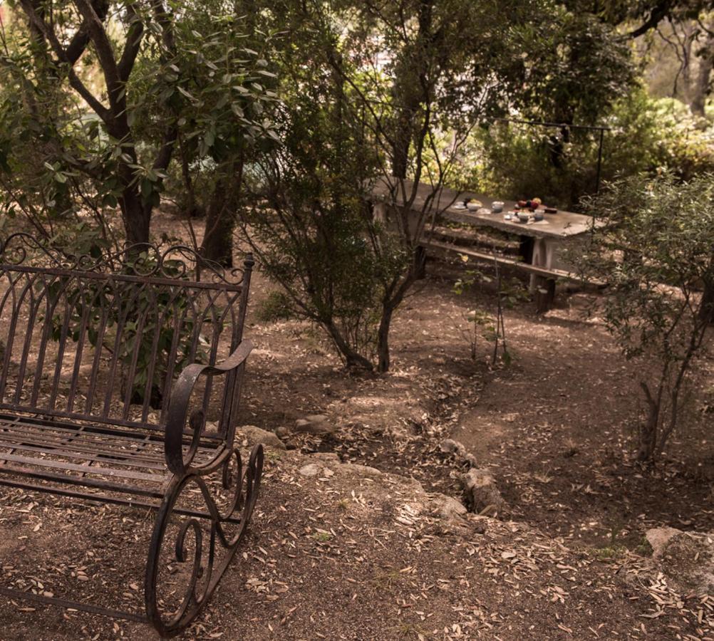 Nel Giardino Dei Pesci Volanti Βίλα San Pantaleo Εξωτερικό φωτογραφία